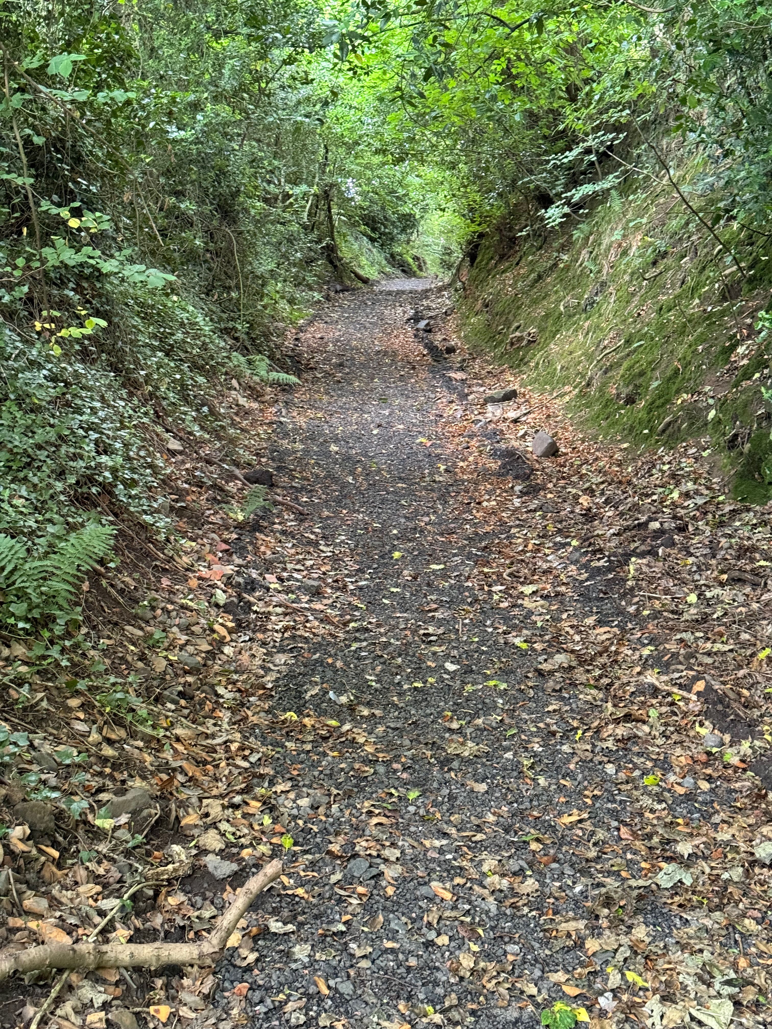 Denhead Path